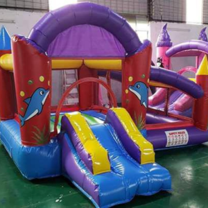 Inflatable Playground Rental